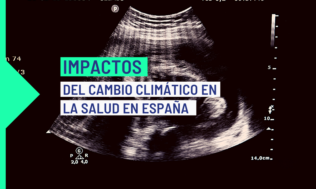 Los impactos del cambio climático en la salud en España