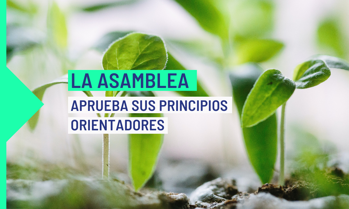 La Asamblea Ciudadana para el Clima aprueba sus principios orientadores