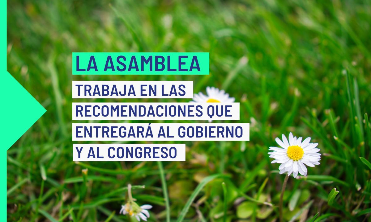 La Asamblea Ciudadana para el Clima trabaja en la redacción final de las recomendaciones que entregará al Gobierno y al Congreso