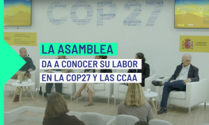 La Asamblea Ciudadana da a conocer su labor en la COP27 y en las comunidades autónomas